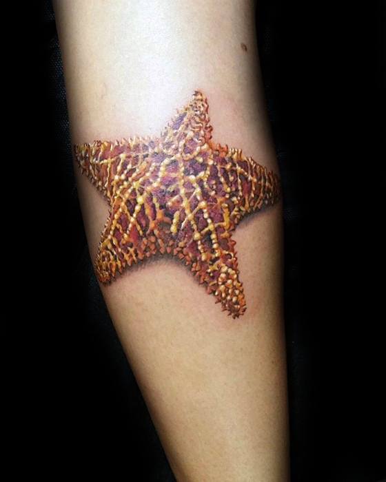 tatuaje estrella de mar 82