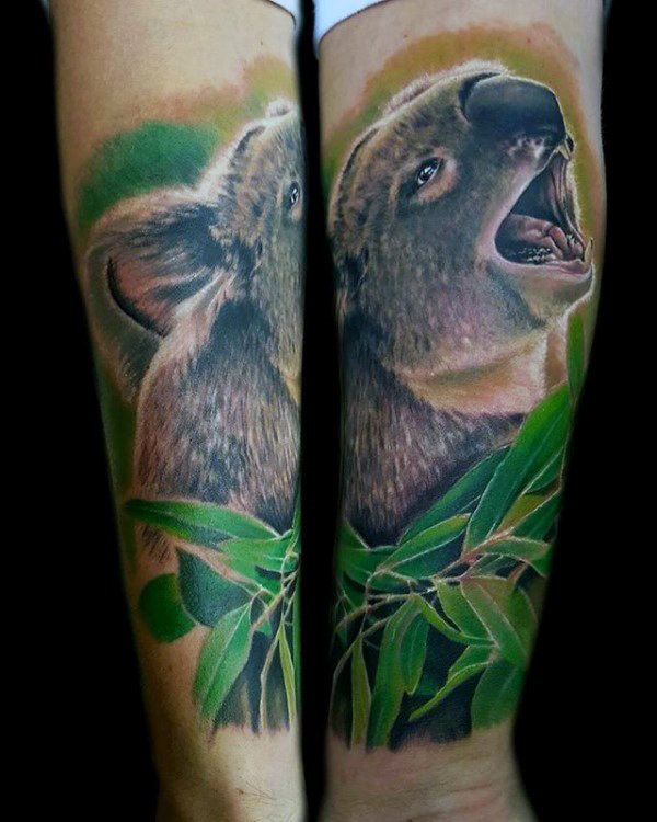 tatuaje koala 16