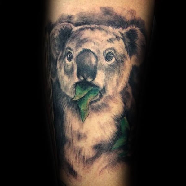 tatuaje koala 18