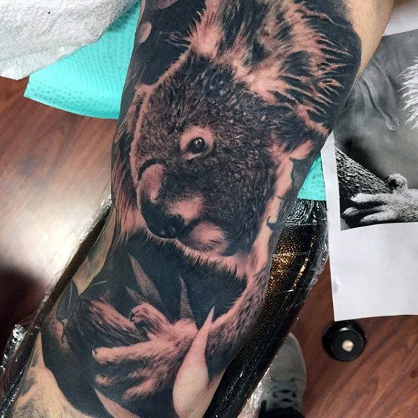tatuaje koala 20