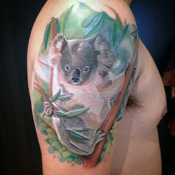 tatuaje koala 50