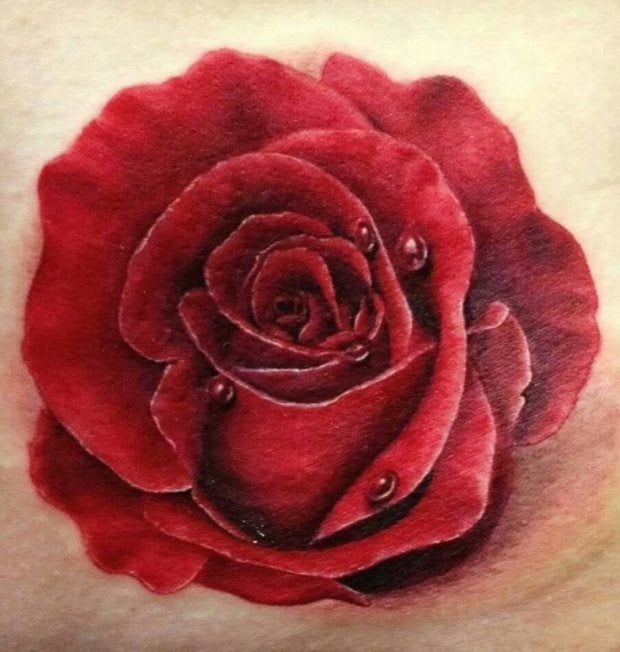 tatuaje rosa 7867