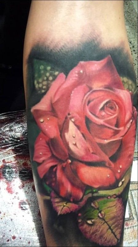 tatuaje rosa 7875