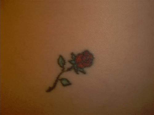 tatuaje rosa 7929