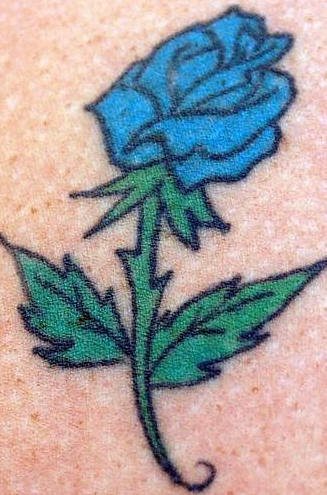 tatuaje rosa 7930