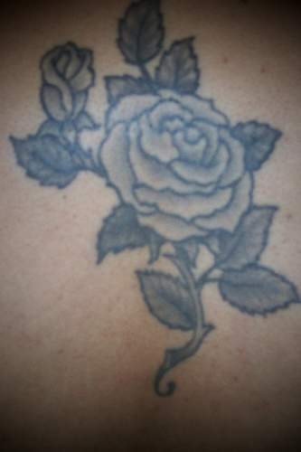 tatuaje rosa 7942