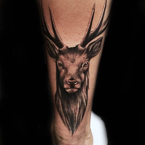 tatuaje ciervo 30