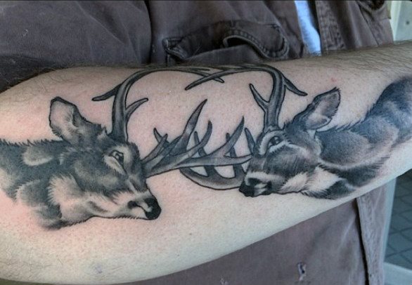 tatuaje ciervo 324