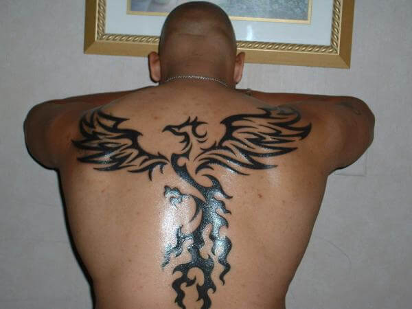 tatuaje fenix 290