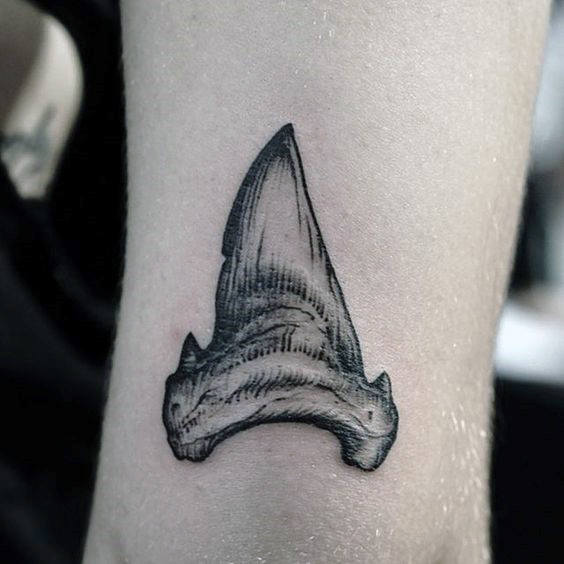 tatuaje mandibula diente tiburon 05