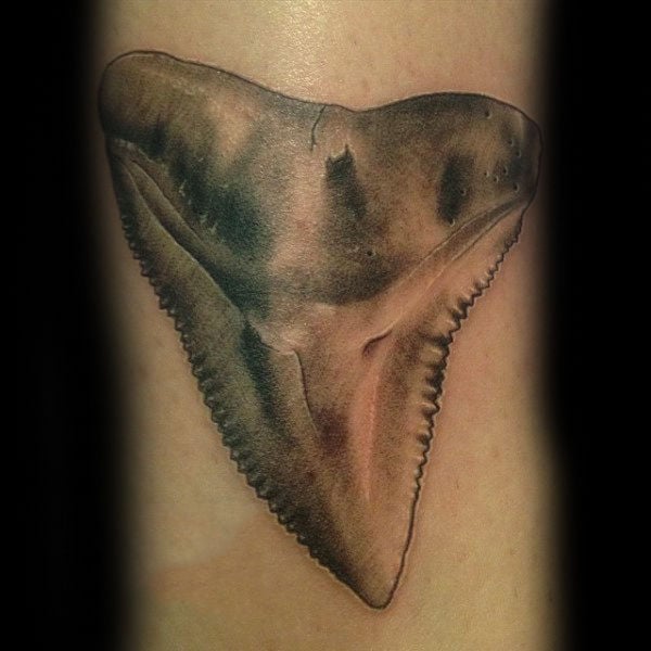 tatuaje mandibula diente tiburon 35