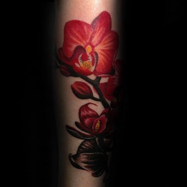 tatuaje orquideas 103