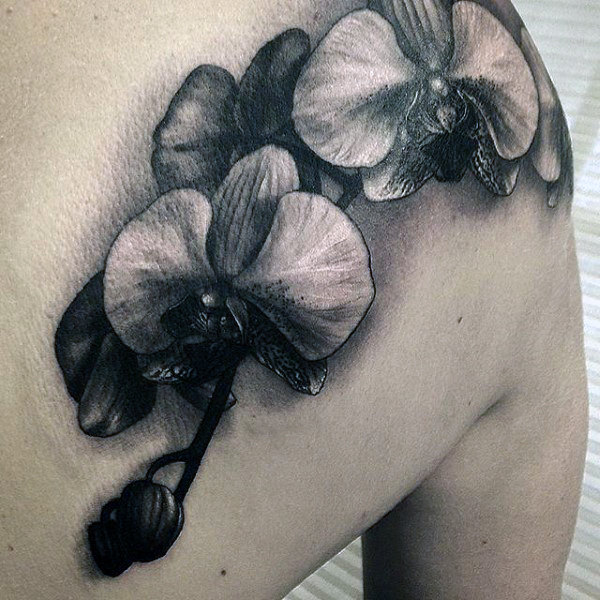 tatuaje orquideas 37