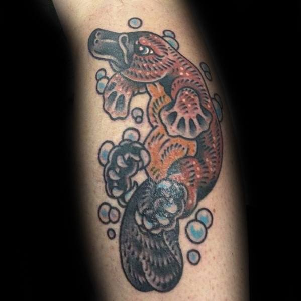 tatuaje ornitorrinco 21