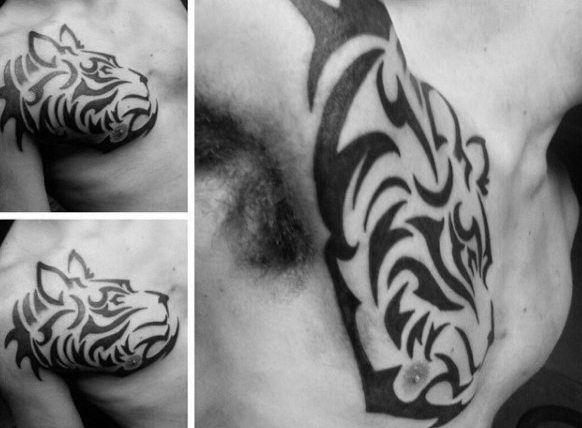tatuaje tigre tribal 47